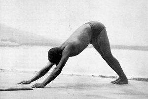 The Sun Salutation - Sivananda International